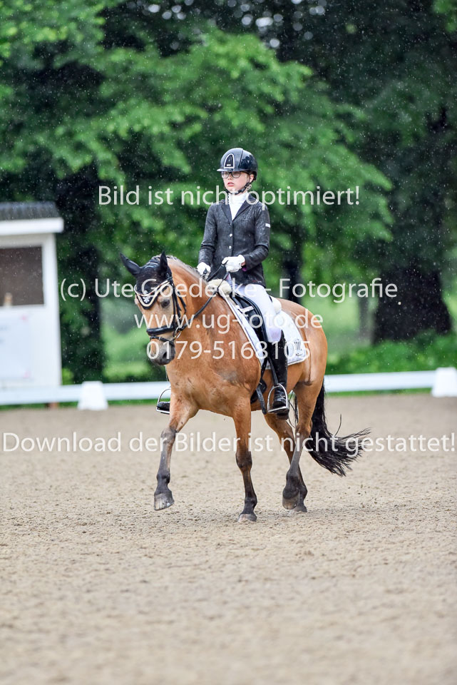 Holtfreter,-Marie---Pegasus-Forever-_05.jpg