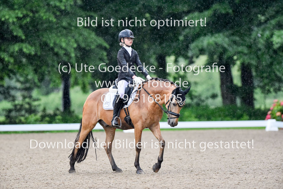 Holtfreter,-Marie---Pegasus-Forever-_07.jpg