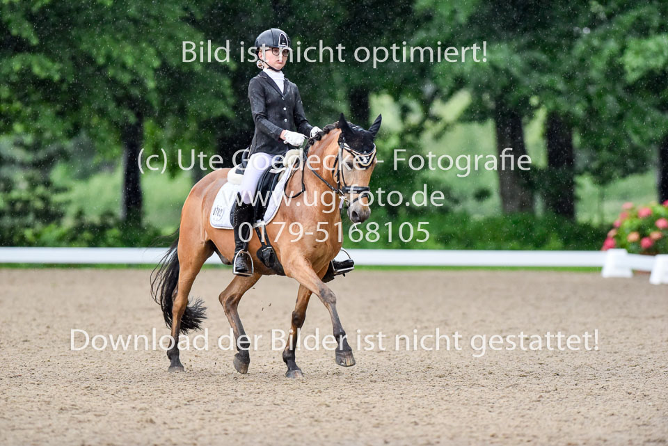 Holtfreter,-Marie---Pegasus-Forever-_10.jpg