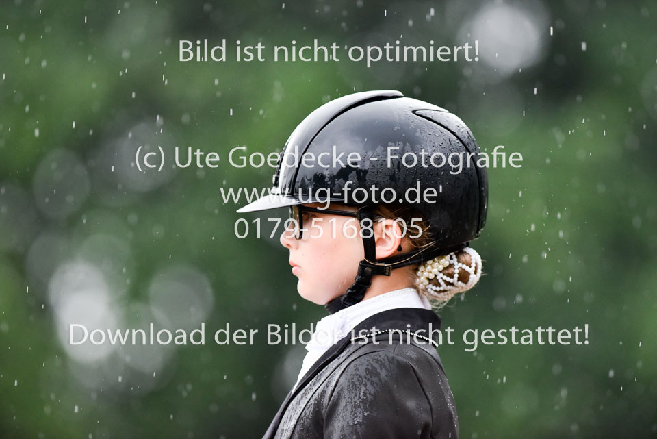 Holtfreter,-Marie---Pegasus-Forever-_13.jpg