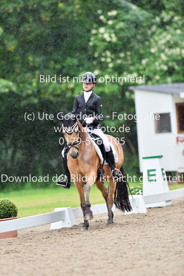 Holtfreter,-Marie---Pegasus-Forever-_15.jpg
