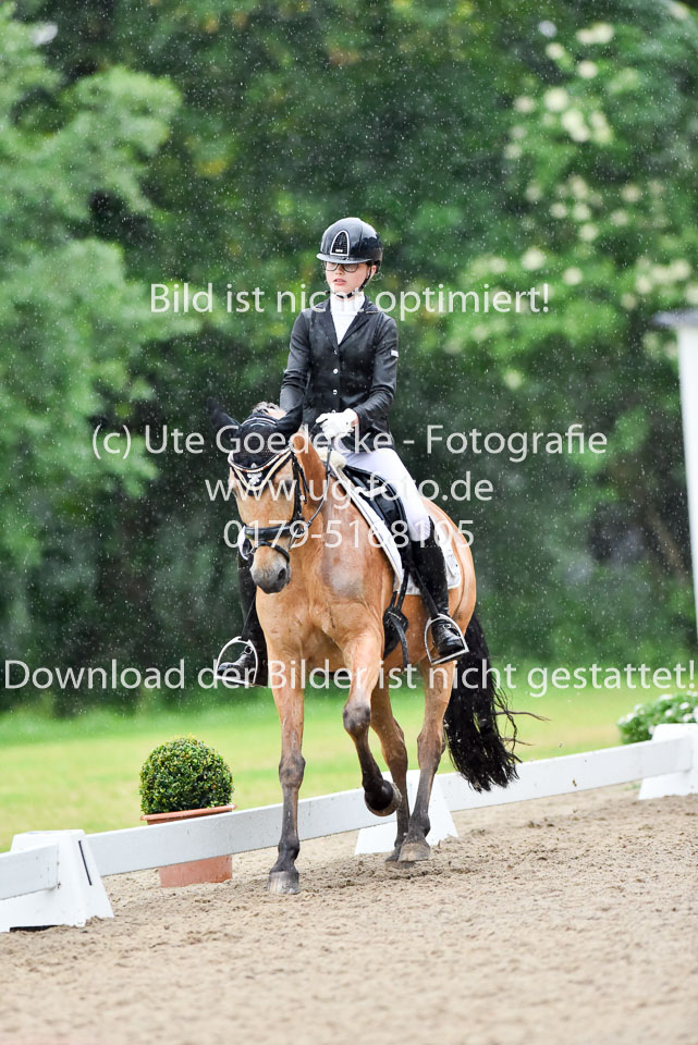 Holtfreter,-Marie---Pegasus-Forever-_16.jpg