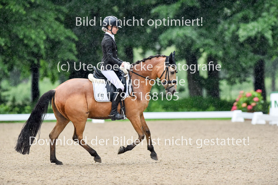 Holtfreter,-Marie---Pegasus-Forever-_17.jpg