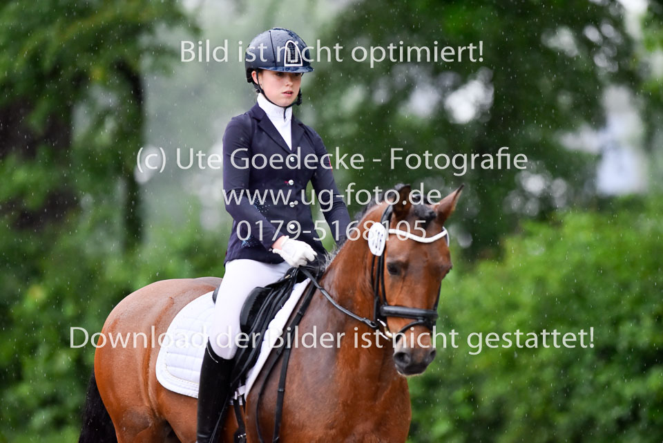 Jürgens,-Anna-Margareta---Contrast_10.jpg