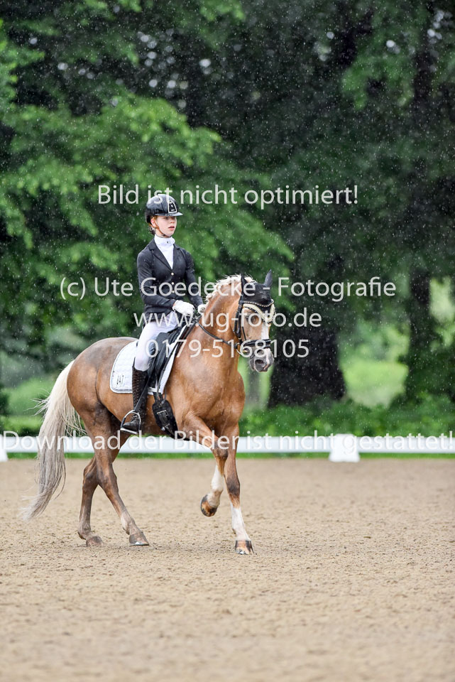 Locklair,-Caroline---Top-Zento-_02.jpg
