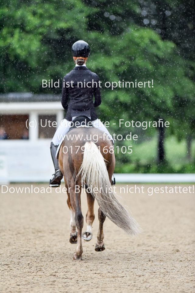 Locklair,-Caroline---Top-Zento-_07.jpg