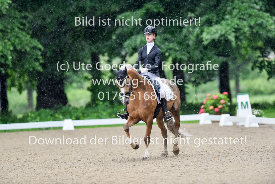 Locklair,-Caroline---Top-Zento-_08.jpg