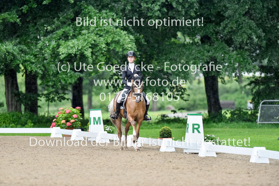 Locklair,-Caroline---Top-Zento-_16.jpg