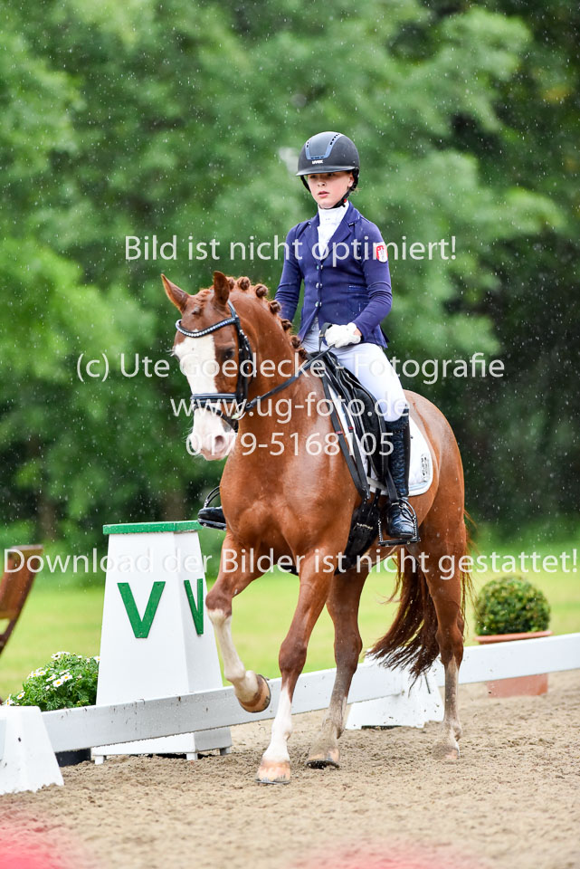 Oertzen,-Soe-Isabell---Kosmo-von-Esseborg_10.jpg