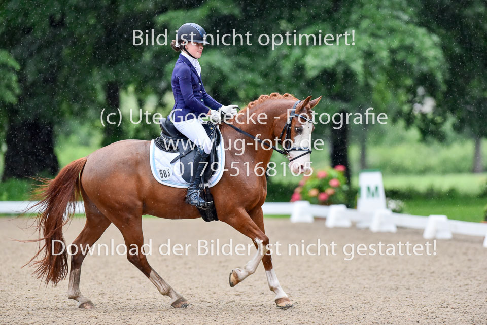 Oertzen,-Soe-Isabell---Kosmo-von-Esseborg_11.jpg