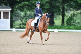 Pony-Dressur Kl L