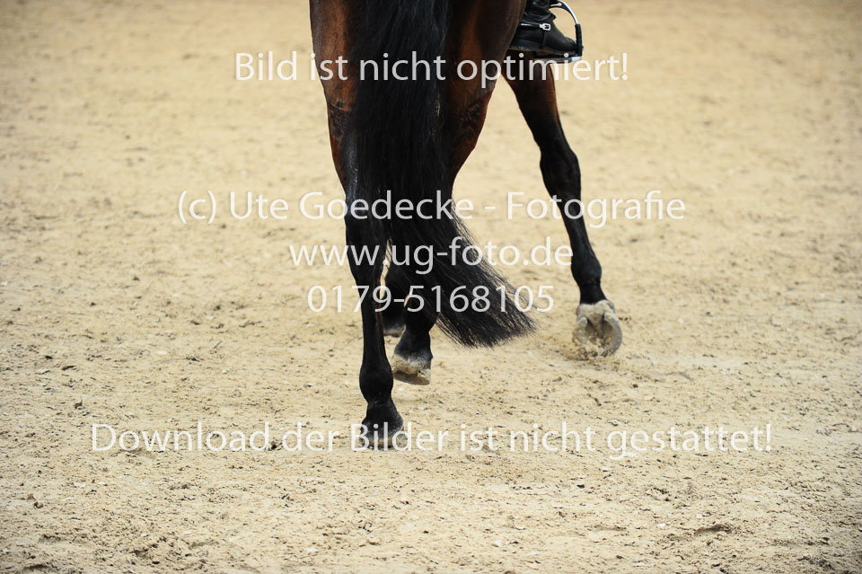 Bolt,-Selina---Donn-Jezabel_13.jpg