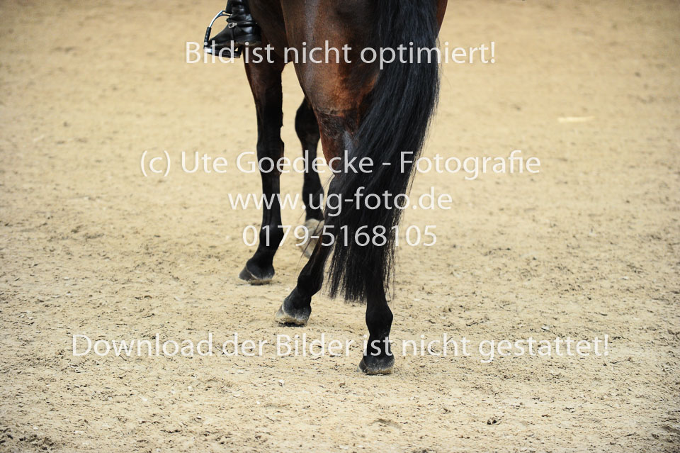 Bolt,-Selina---Donn-Jezabel_14.jpg