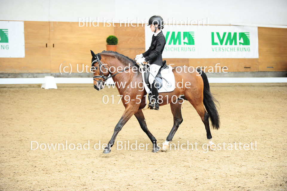 Morner,-Joelle---Proud-Raffaelo_01.jpg