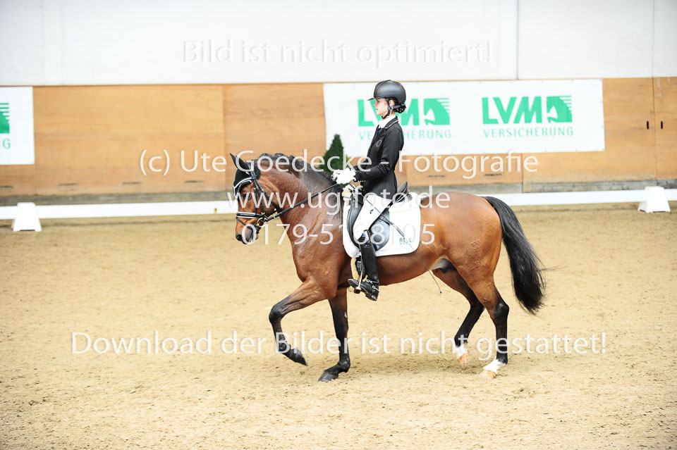 Morner,-Joelle---Proud-Raffaelo_05.jpg