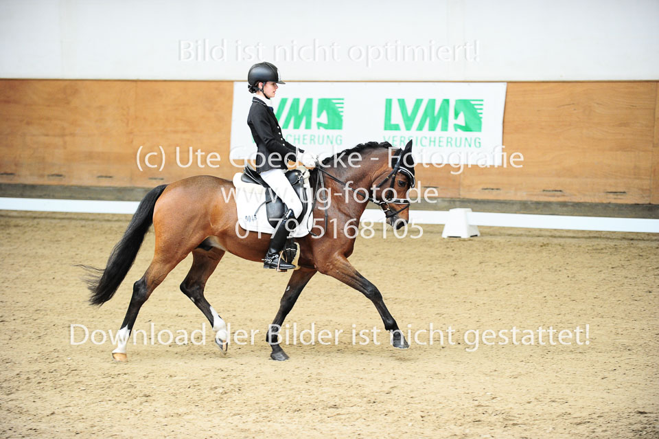 Morner,-Joelle---Proud-Raffaelo_10.jpg