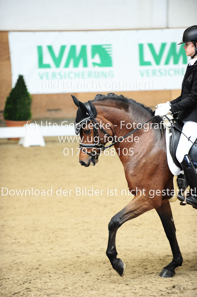Morner,-Joelle---Proud-Raffaelo_13.jpg