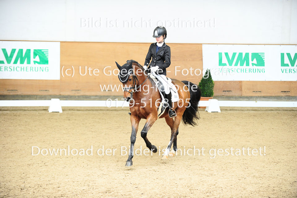 Morner,-Joelle---Proud-Raffaelo_14.jpg