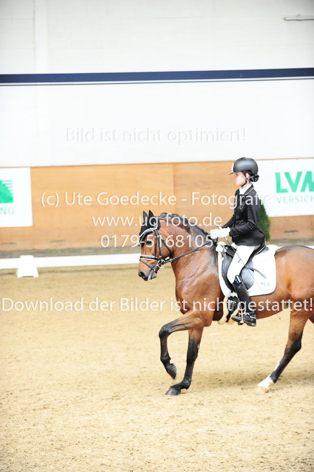 Morner,-Joelle---Proud-Raffaelo_20.jpg