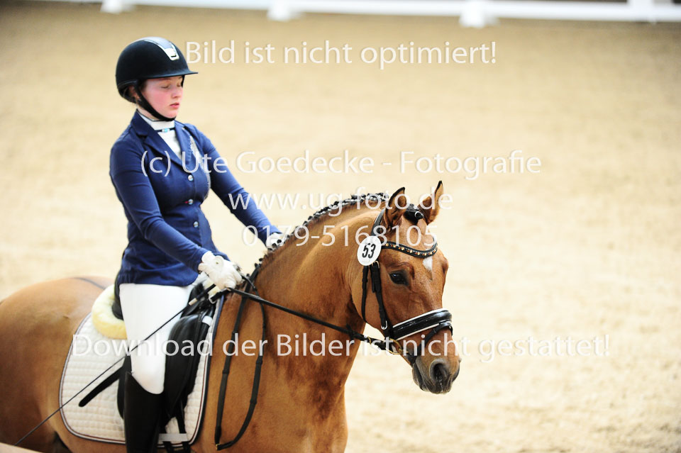 Rohweder,-Thora---Steendieks-Morgenstern-Dalai_02.jpg