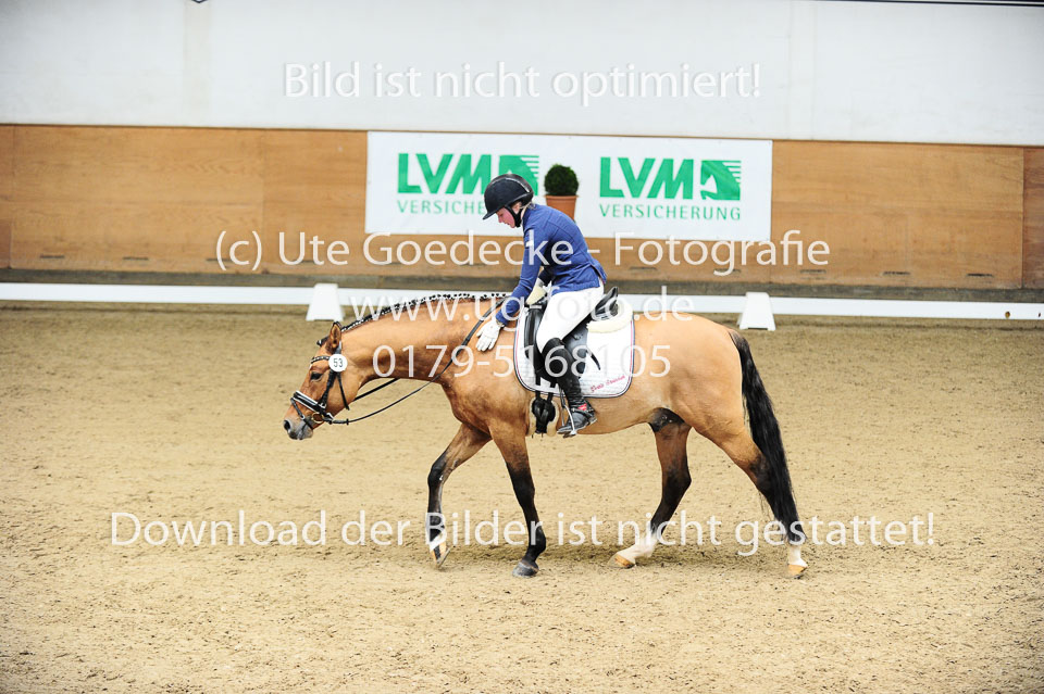 Rohweder,-Thora---Steendieks-Morgenstern-Dalai_19.jpg