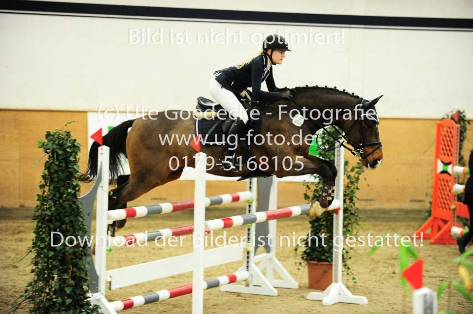 Haase,-Greta---Crackolino_1.jpg