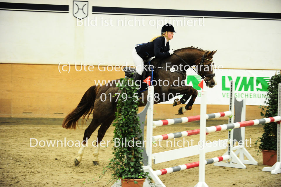Thiel,-Marnie-Lucia---Elfe_1.jpg