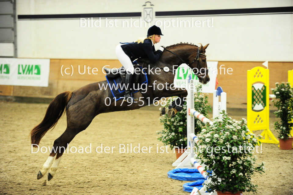 Thiel,-Marnie-Lucia---Elfe_2.jpg