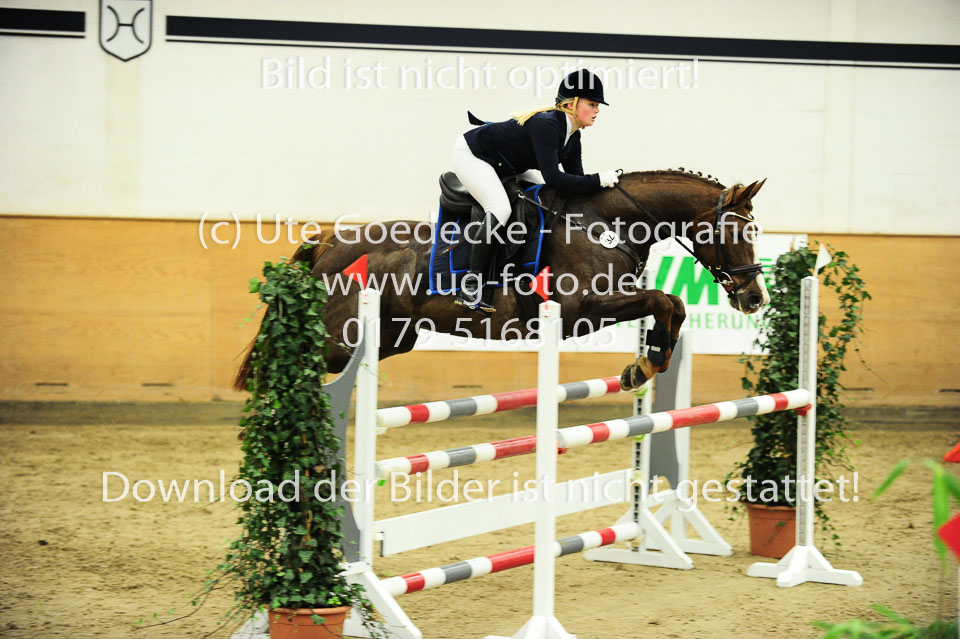 Thiel,-Marnie-Lucia---Elfe_3.jpg