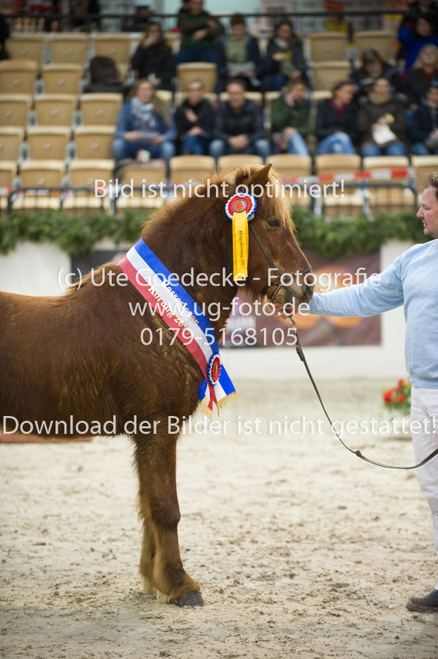 Amadeus-vom-Heesberg_11.jpg