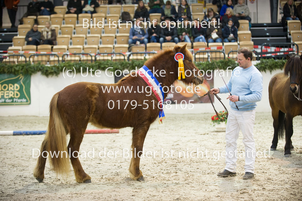 Amadeus-vom-Heesberg_19.jpg
