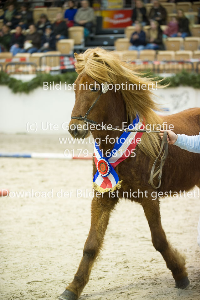 Amadeus-vom-Heesberg_31.jpg
