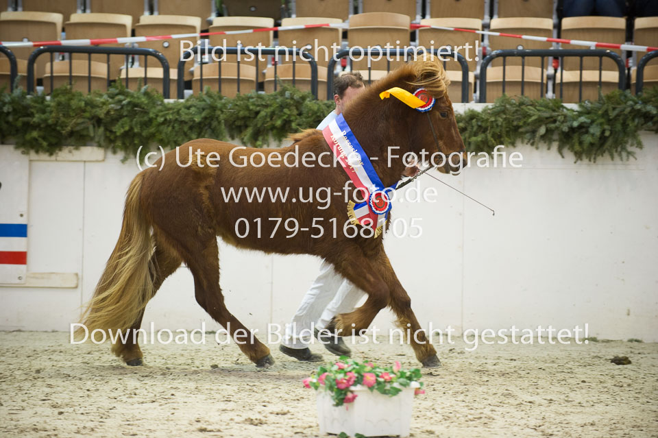 Amadeus-vom-Heesberg_46.jpg