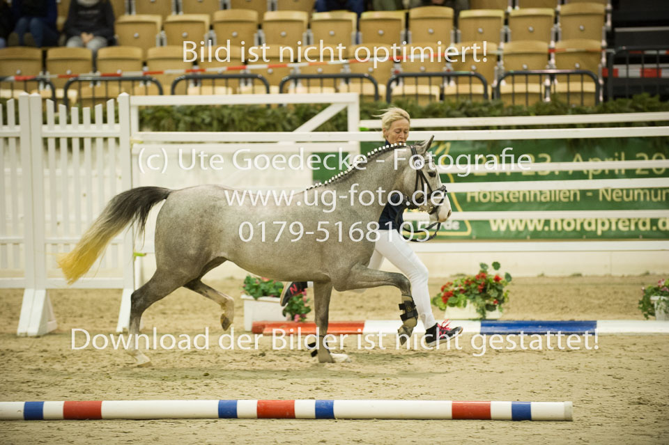 Bomgaardens-Bobby_2.jpg