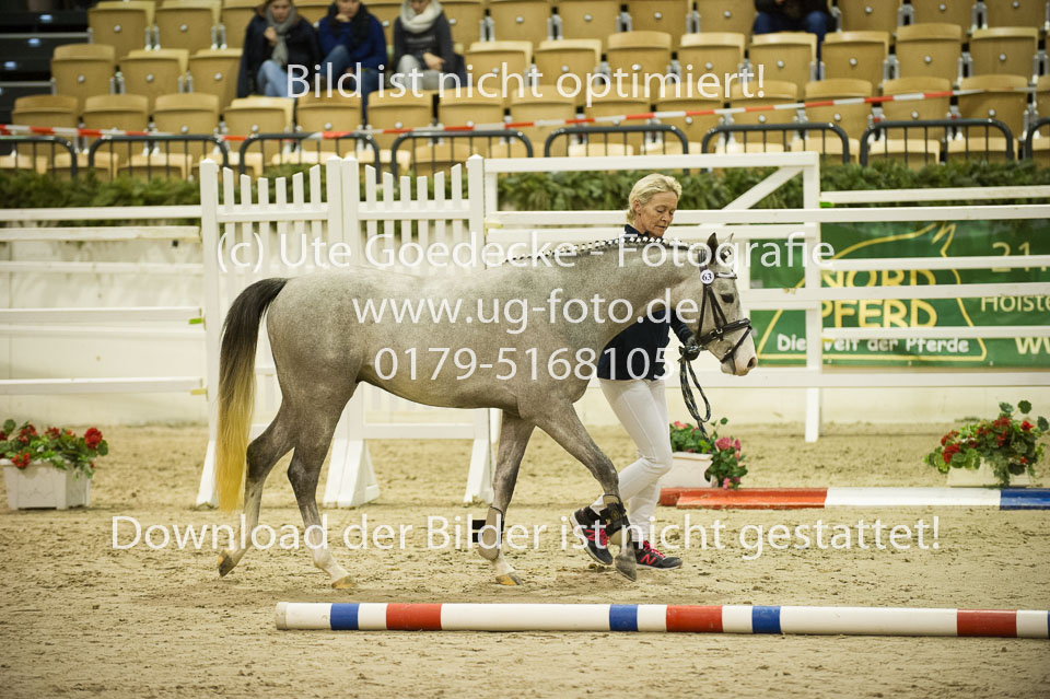 Bomgaardens-Bobby_3.jpg