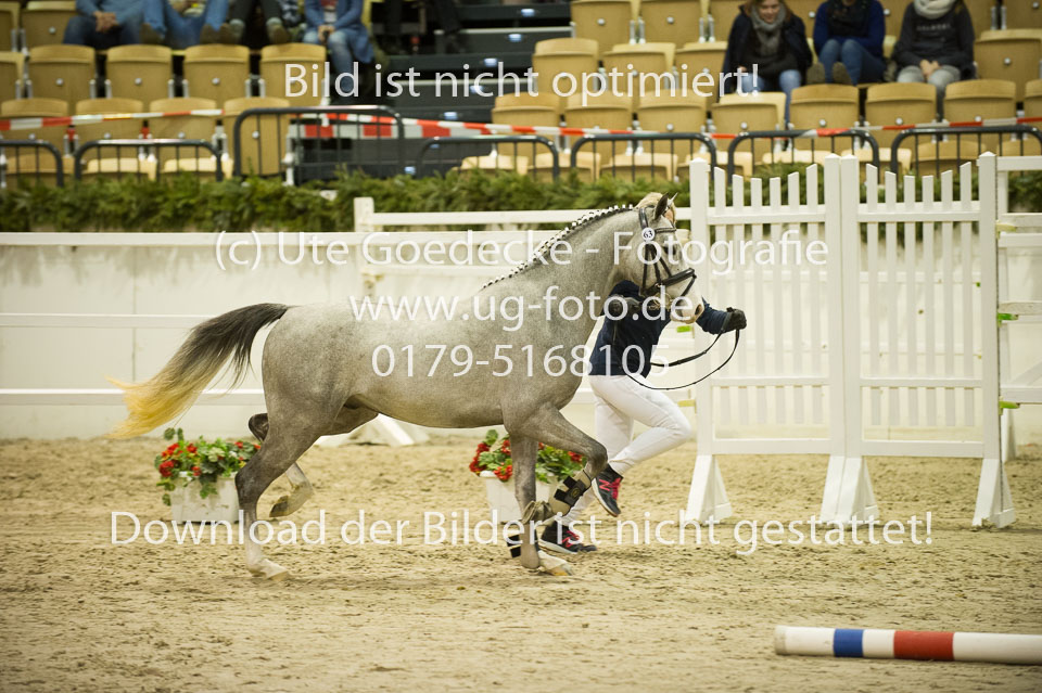 Bomgaardens-Bobby_6.jpg