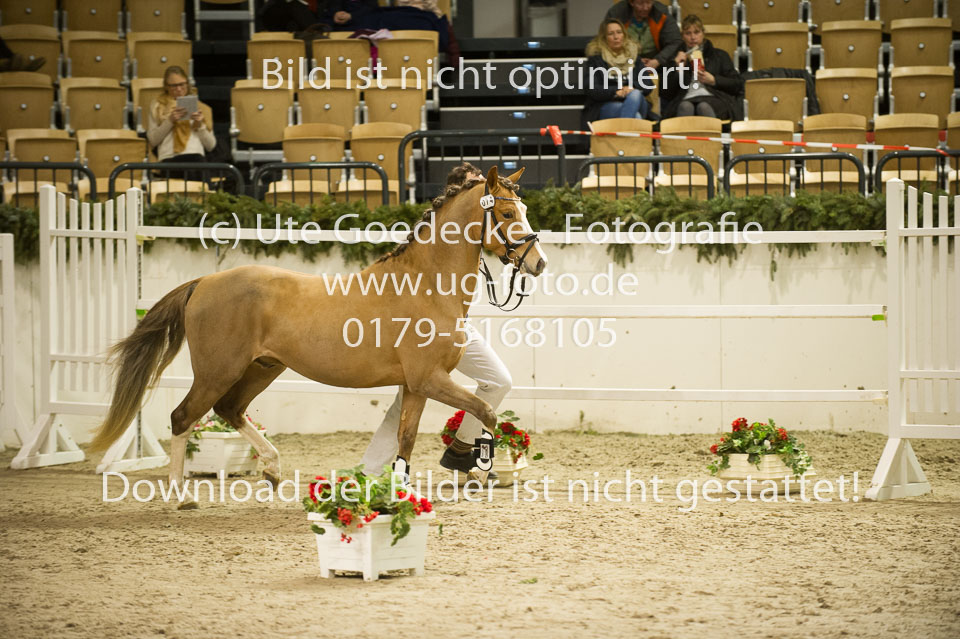 Chesnut_04.jpg