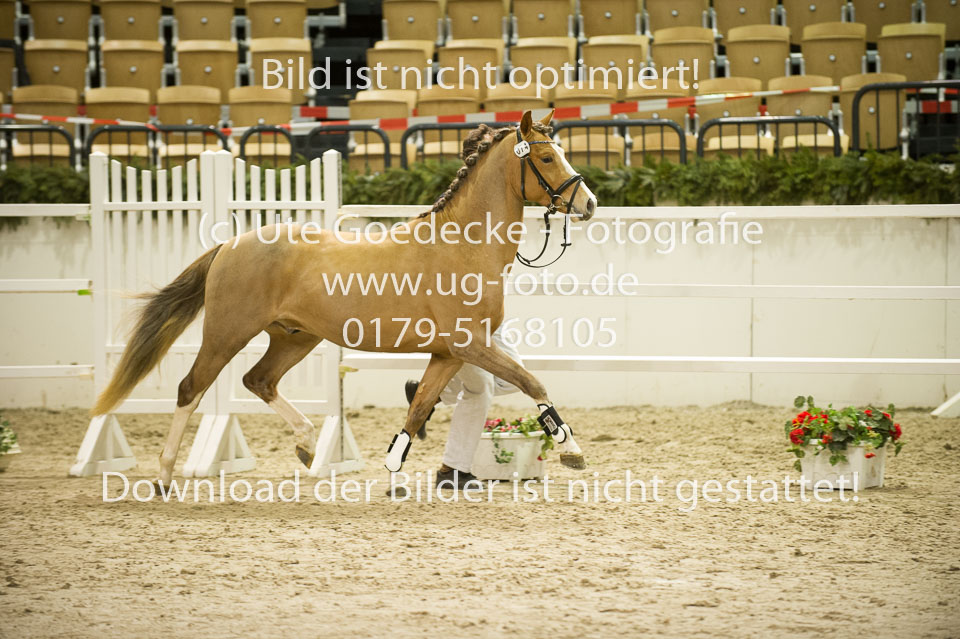 Chesnut_09.jpg