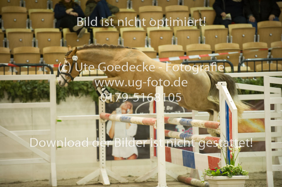 Chesnut_16.jpg