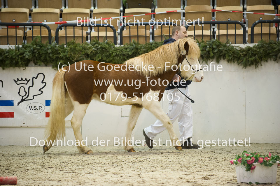 Dyri-von-Aladis_3.jpg