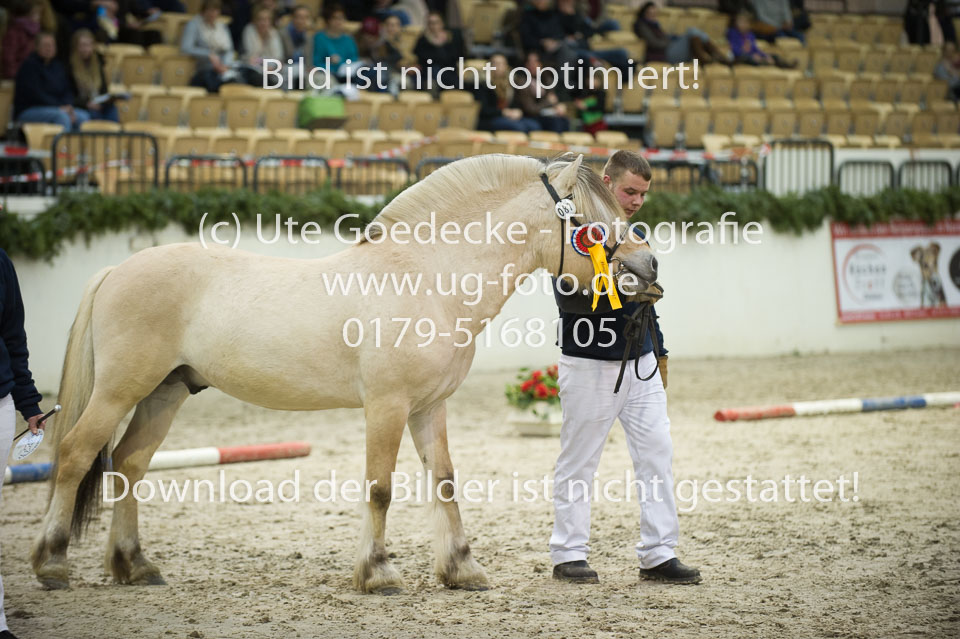 Gloed_08.jpg