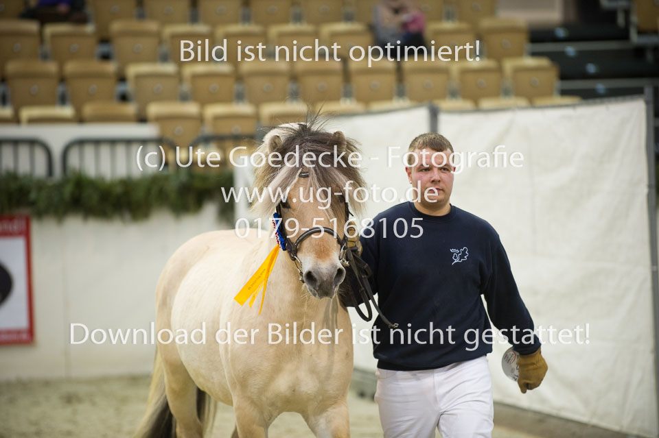 Gloed_10.jpg