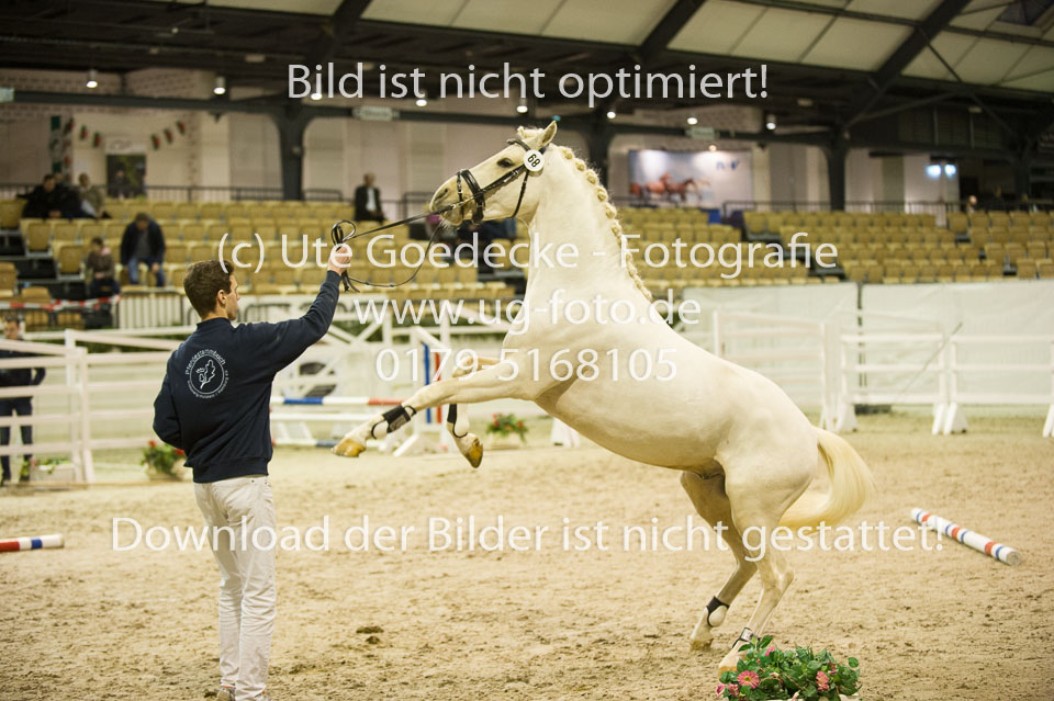 Grenzhoehes-Doscardi_01.jpg