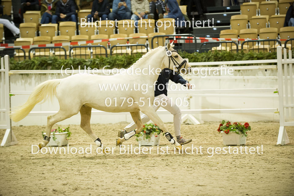 Grenzhoehes-Doscardi_02.jpg