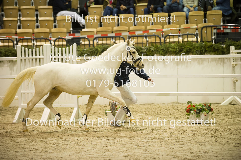 Grenzhoehes-Doscardi_03.jpg