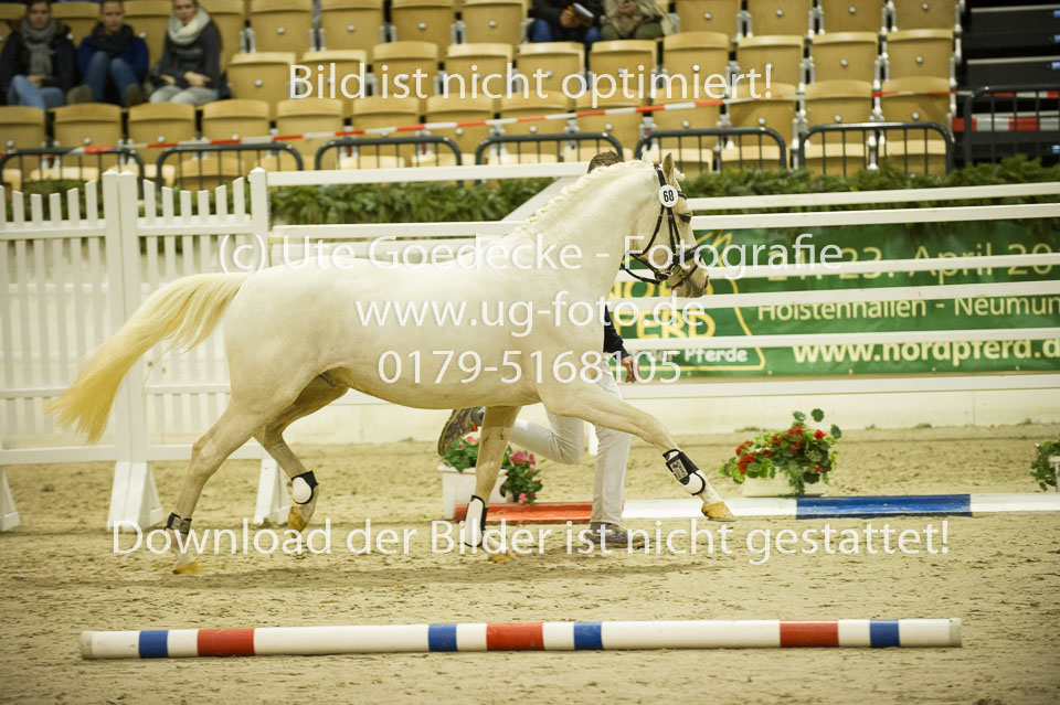 Grenzhoehes-Doscardi_04.jpg