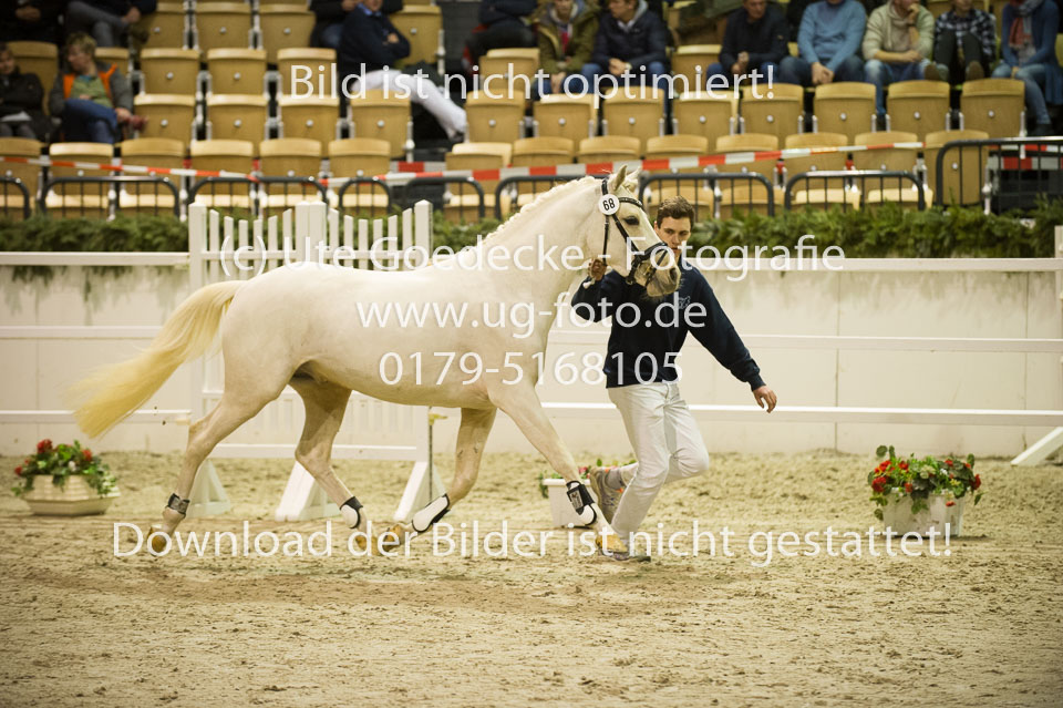 Grenzhoehes-Doscardi_05.jpg