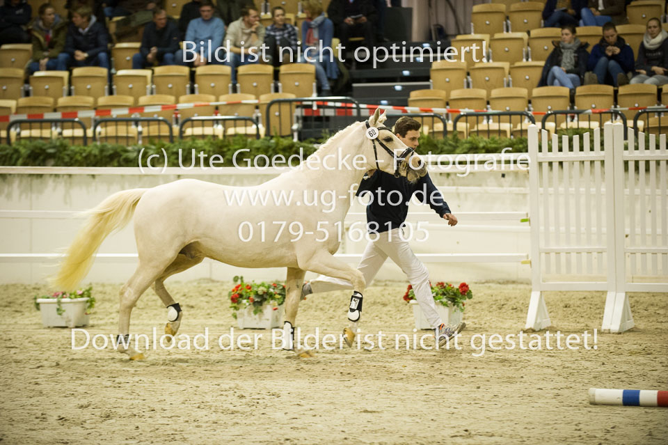 Grenzhoehes-Doscardi_06.jpg