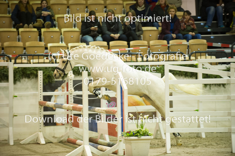 Grenzhoehes-Doscardi_09.jpg