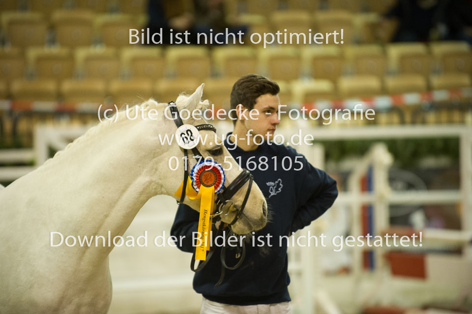 Grenzhoehes-Doscardi_13.jpg